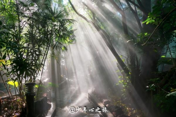 加沙地带卫生部门：纳赛尔医疗中心运行艰难 麻醉药品已用尽